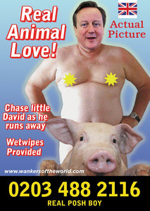 Political Whore Poster - Cameron